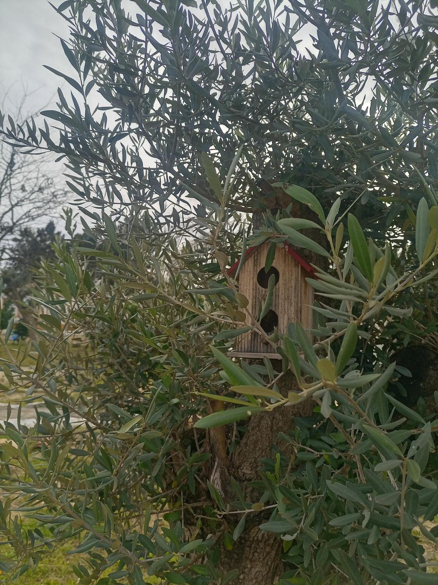 הוילה אזייתאו O Mundo Da Lua מראה חיצוני תמונה