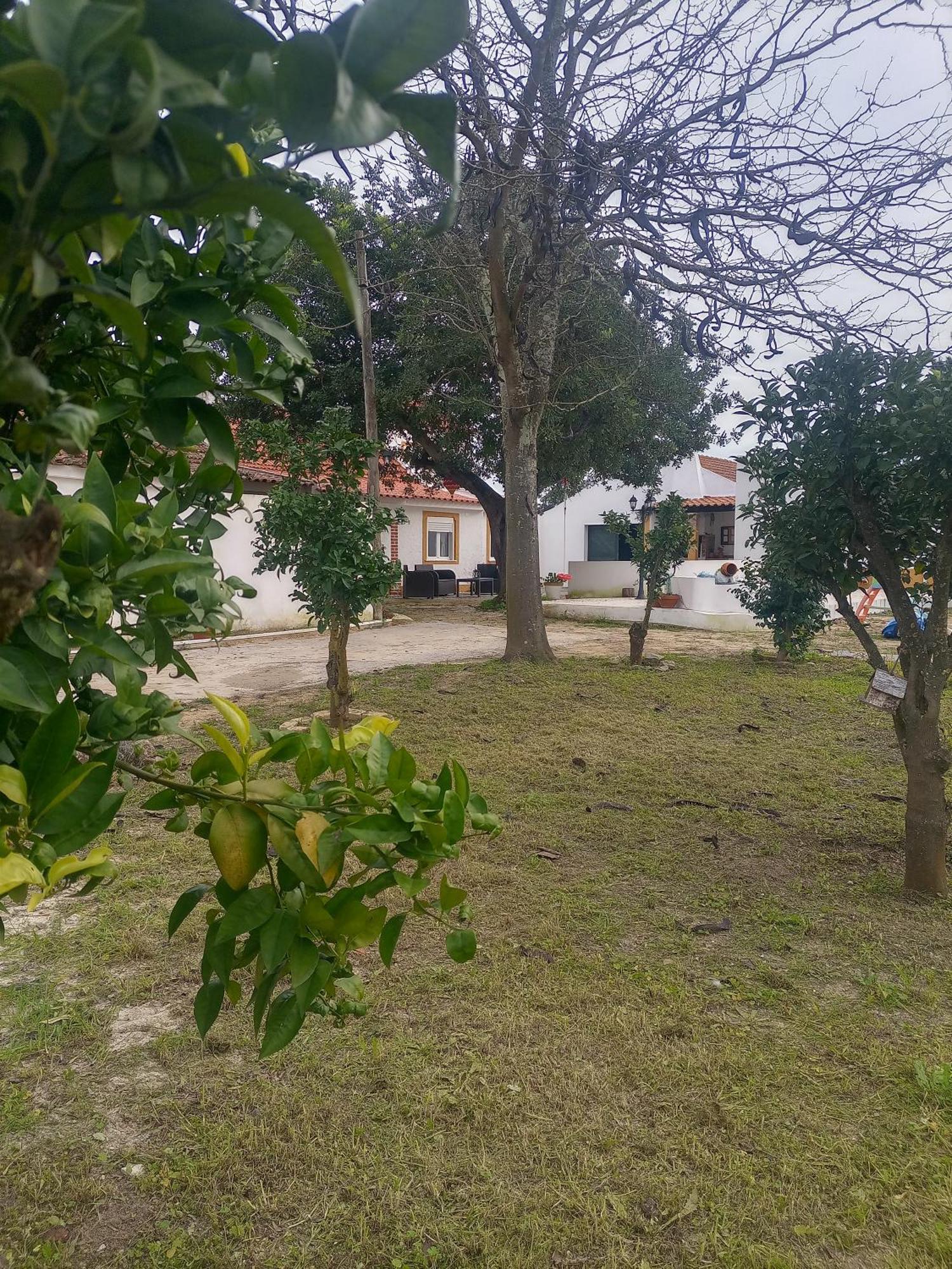 הוילה אזייתאו O Mundo Da Lua מראה חיצוני תמונה