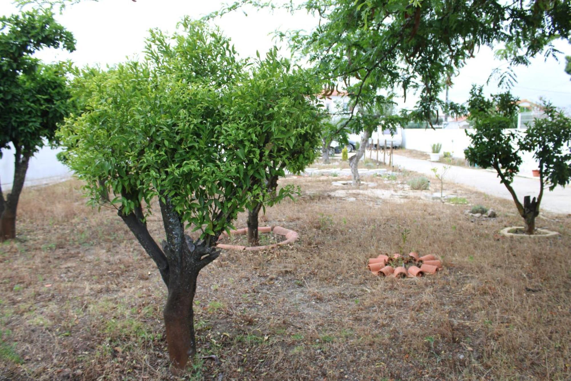 הוילה אזייתאו O Mundo Da Lua מראה חיצוני תמונה